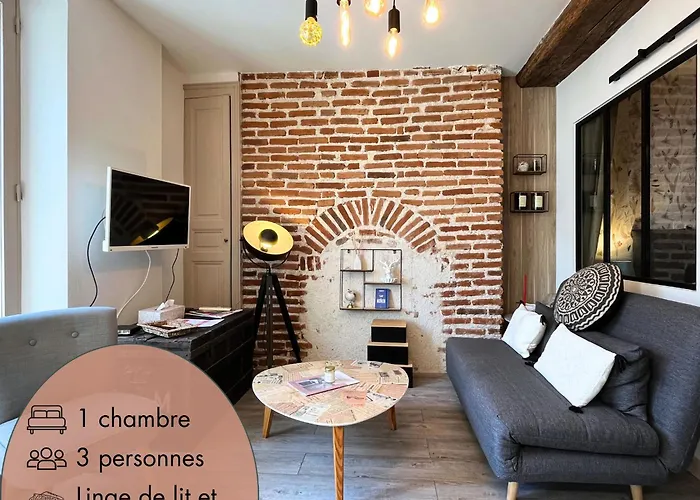 Cote Medicis - Cosy Appartement Au Coeur De Blois